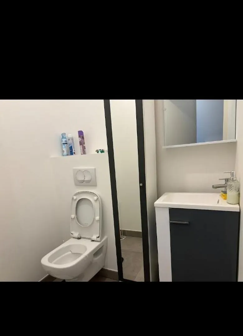 Labaie Apartment Vetraz-Monthoux